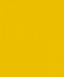 ABSOLUTE YELLOW