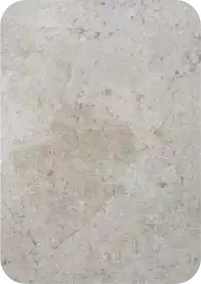 20160857