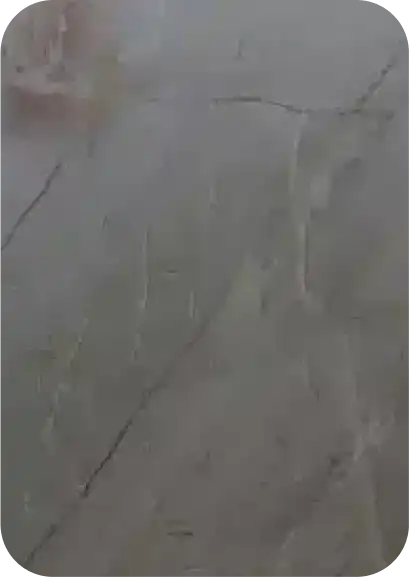 20160865