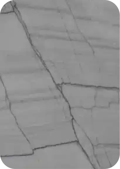 20160890